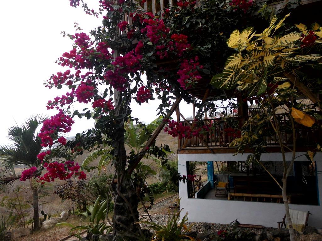 Maremonti Bed & Breakfast Puerto López Dış mekan fotoğraf