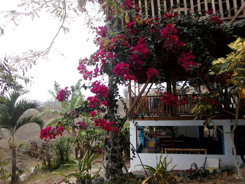 Maremonti Bed & Breakfast Puerto López Dış mekan fotoğraf