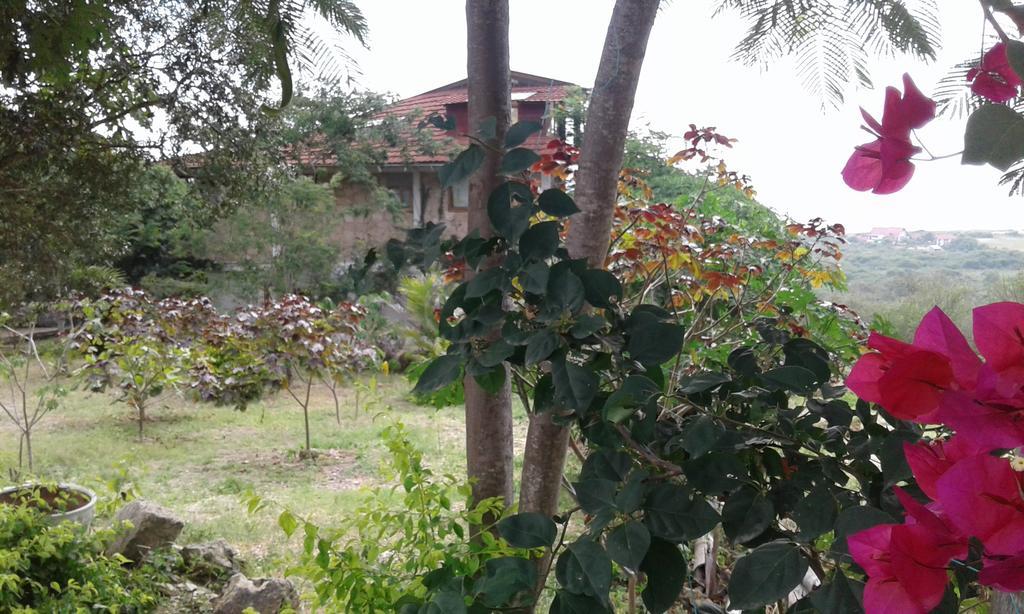 Maremonti Bed & Breakfast Puerto López Dış mekan fotoğraf
