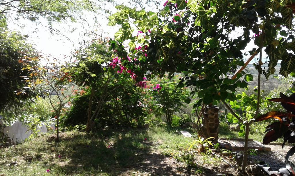 Maremonti Bed & Breakfast Puerto López Dış mekan fotoğraf