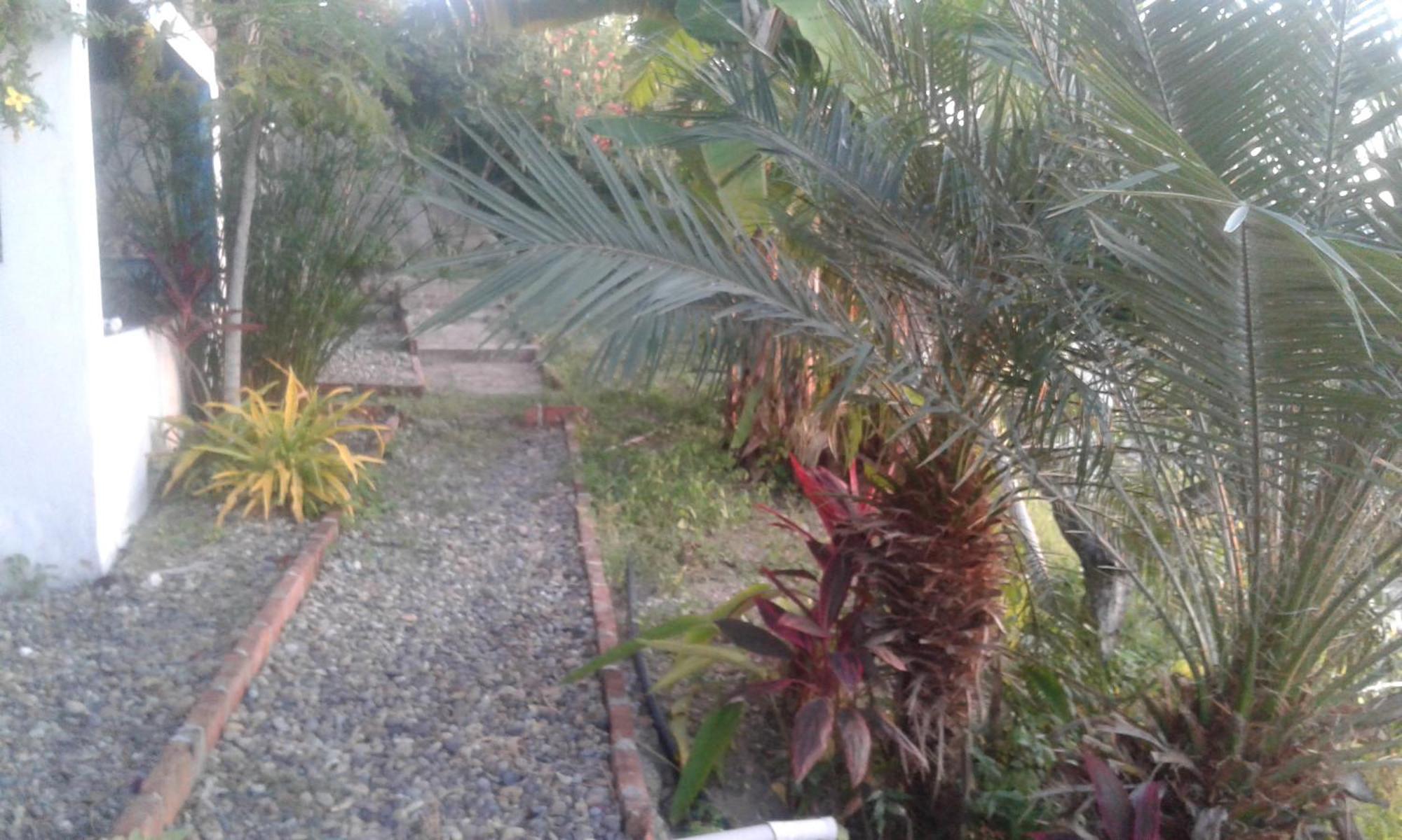 Maremonti Bed & Breakfast Puerto López Dış mekan fotoğraf