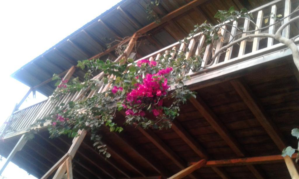 Maremonti Bed & Breakfast Puerto López Dış mekan fotoğraf